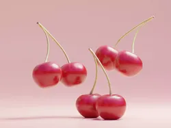 CHERRY 3D model
