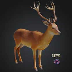 Deer