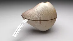 Fortune Cookie 3D model