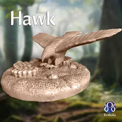 Hawk
