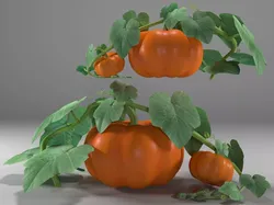Pumpkin bush 3D model
