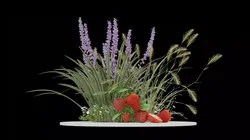 strawberries 3D model