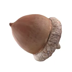 Acorn v2   Low-poly 3D model