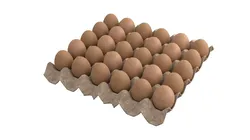 Cardboard eggs carton box pack 3D model