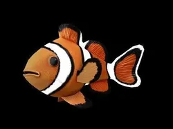 Clown Fish Game Ready Model with Animations Low-poly 3D model