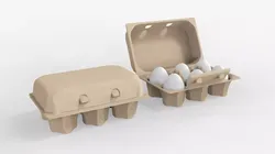 Eggs Box 3D model