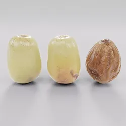 fresh ripe or spoiled Grapes Low-poly 3D model