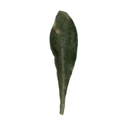 low poly grass leaf Low-poly 3D model