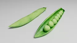 Pea Pod 3D model