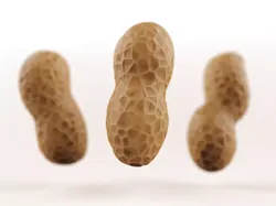 Peanuts three Low-poly 3D model
