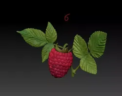 Raspberry 3D print model