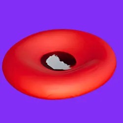 Stomatocyte Red Blood Cell