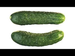 4k Cucumber 3D model