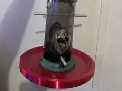 Audubon Going Green Bird Feeder footer - Free 3D Print Model