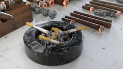 Cigars Cigarettes Joints Blunts and Ashtrays - 3D AssetKit PBR Low-poly 3D model
