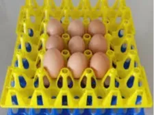 Egg with bunny ears - Free 3D Print Model