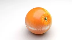 Orange 3D model