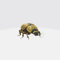 Realistic Beetle 3D Model - Insect Asset