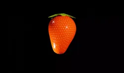 Strawberry 3D model