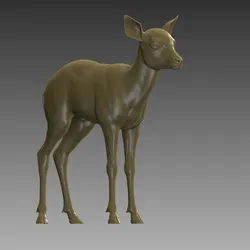 Baby Deer 3D Model