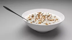 Bowl of Cinnamon Toast Cereals 3D model