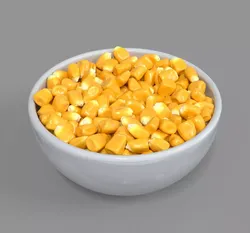 Corn kernel 3D model