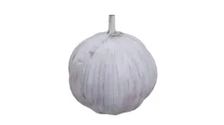 Garlic Low-poly 3D model