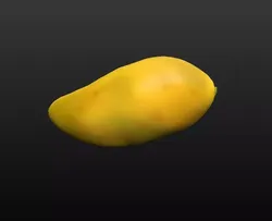 Mango Ripe 3D model