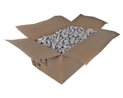 Opened Shipping box 3D model