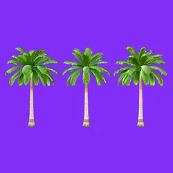 Tropical Palm Tree Duo