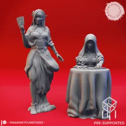 Vadoma - Fortune Teller Pair - Tabletop Miniatures (Pre-Supported)