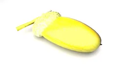 Acorn 3D model