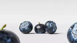 Blueberry 3D model