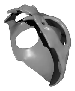 Cat Skull Hat