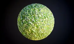 Food Cucumber Seamless PBR Texture Texture