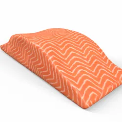 Salmon Fish Meat
