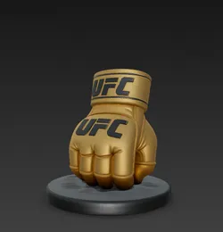 UFC Glove