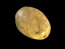 4k Potato Low-poly 3D model
