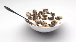 Bowl Of Chocolate Chip Cookie Cereals 3D model