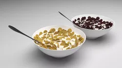 Bowl of Round Cereals 3D model