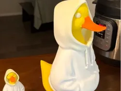 duck in a hoody - Free 3D Print Model