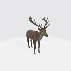 Realistic Deer 3D Model - Wildlife Animal