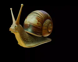 Snail 3D print model