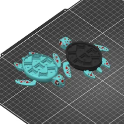 Turtley Yours Multi-Pack