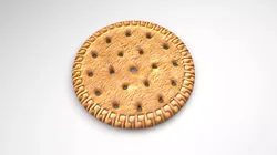 Biscuit 3D model