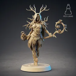Druid Elf