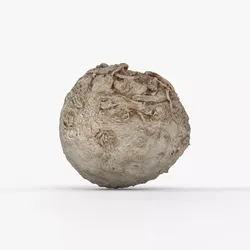 Photorealistic 3D scan of Celery Low-poly 3D model