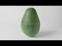 Realistic Avocado 3D Model 3D model