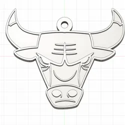 Chicago Bulls keychain