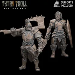 DnD Heroes Orc Fighters [Pre-Supported]